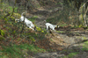 dsc_0055.jpg