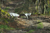 dsc_0056.jpg