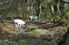 dsc_0057.jpg