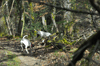 dsc_0058.jpg
