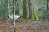 dsc_0065.jpg