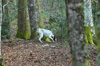 dsc_0066.jpg