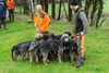 dsc_0032.jpg