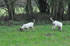 dsc_0069.jpg