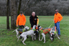 dsc_0077.jpg