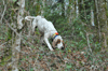 dsc_0211.jpg