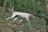 dsc_0213.jpg