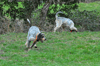 dsc_0145.jpg