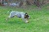 dsc_0146.jpg