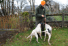 dsc_0162.jpg