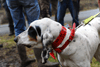 dsc_0186.jpg
