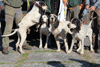 dsc_0053.jpg