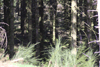 dsc_0076.jpg