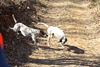 dsc_0090.jpg